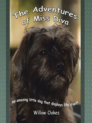 cover image of The Adventures of Miss Diva